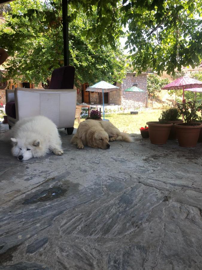 Zirkon Doga Butik Otel Fethiye Buitenkant foto