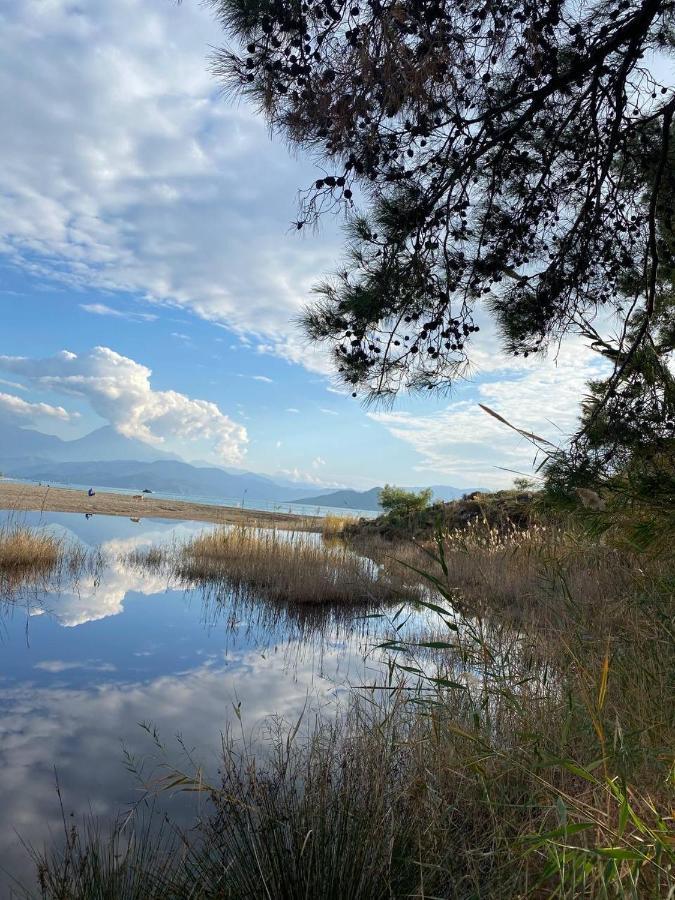 Zirkon Doga Butik Otel Fethiye Buitenkant foto