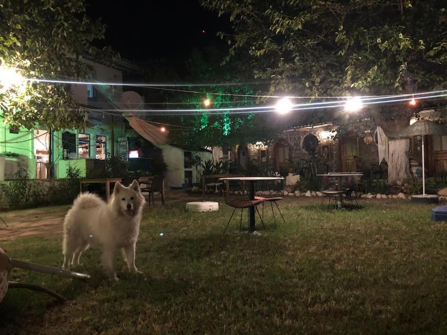 Zirkon Doga Butik Otel Fethiye Buitenkant foto