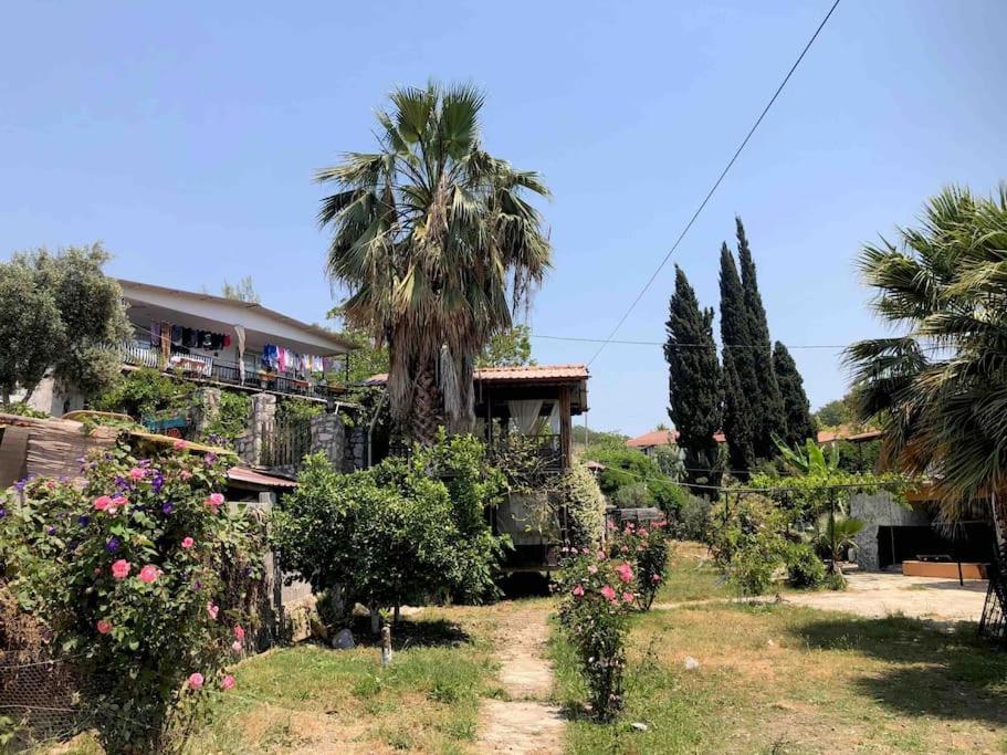 Zirkon Doga Butik Otel Fethiye Buitenkant foto
